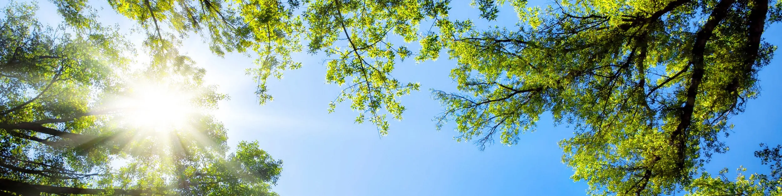 Sustainability Donaldson Company, Inc.